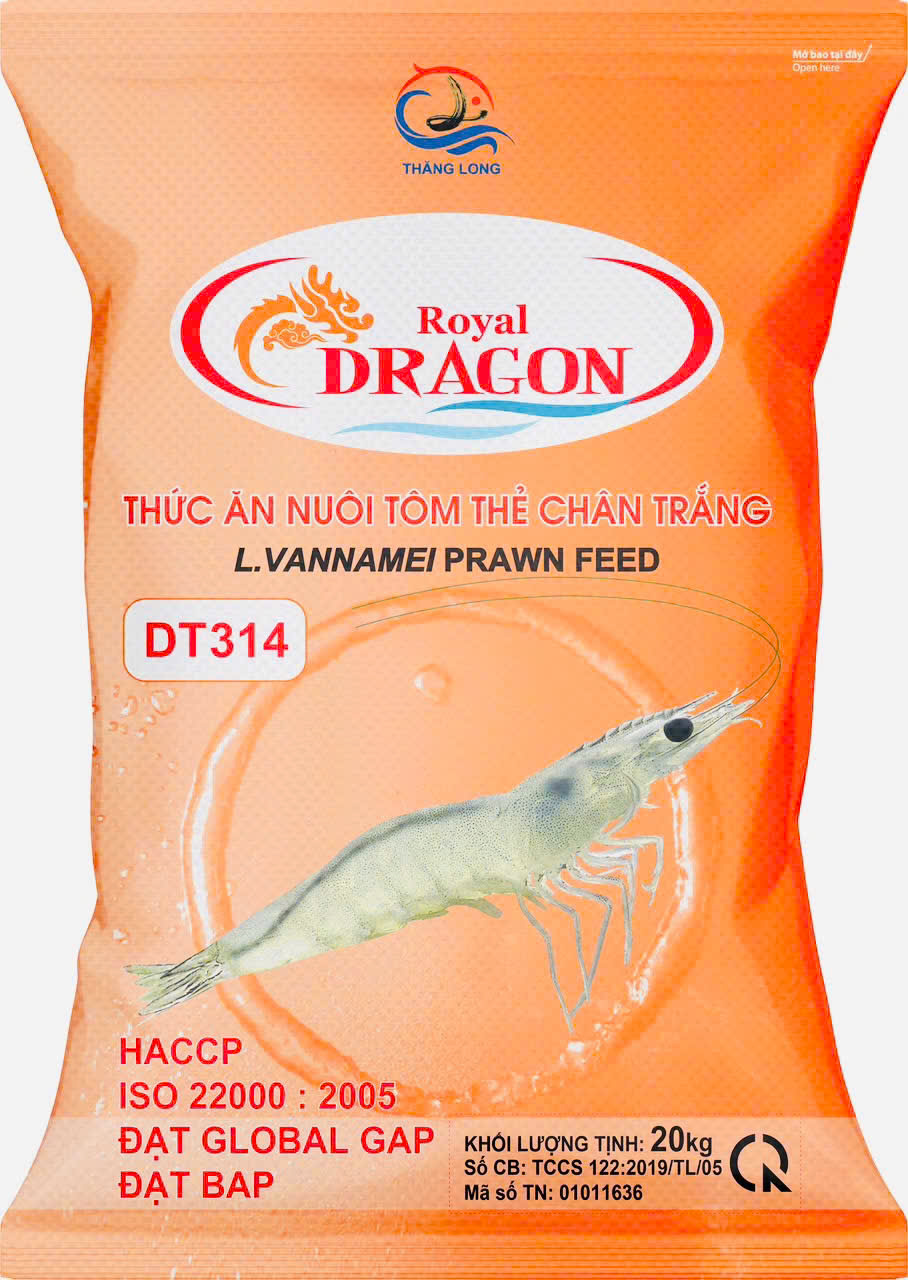 DRAGON DT314 - BAO 20KG