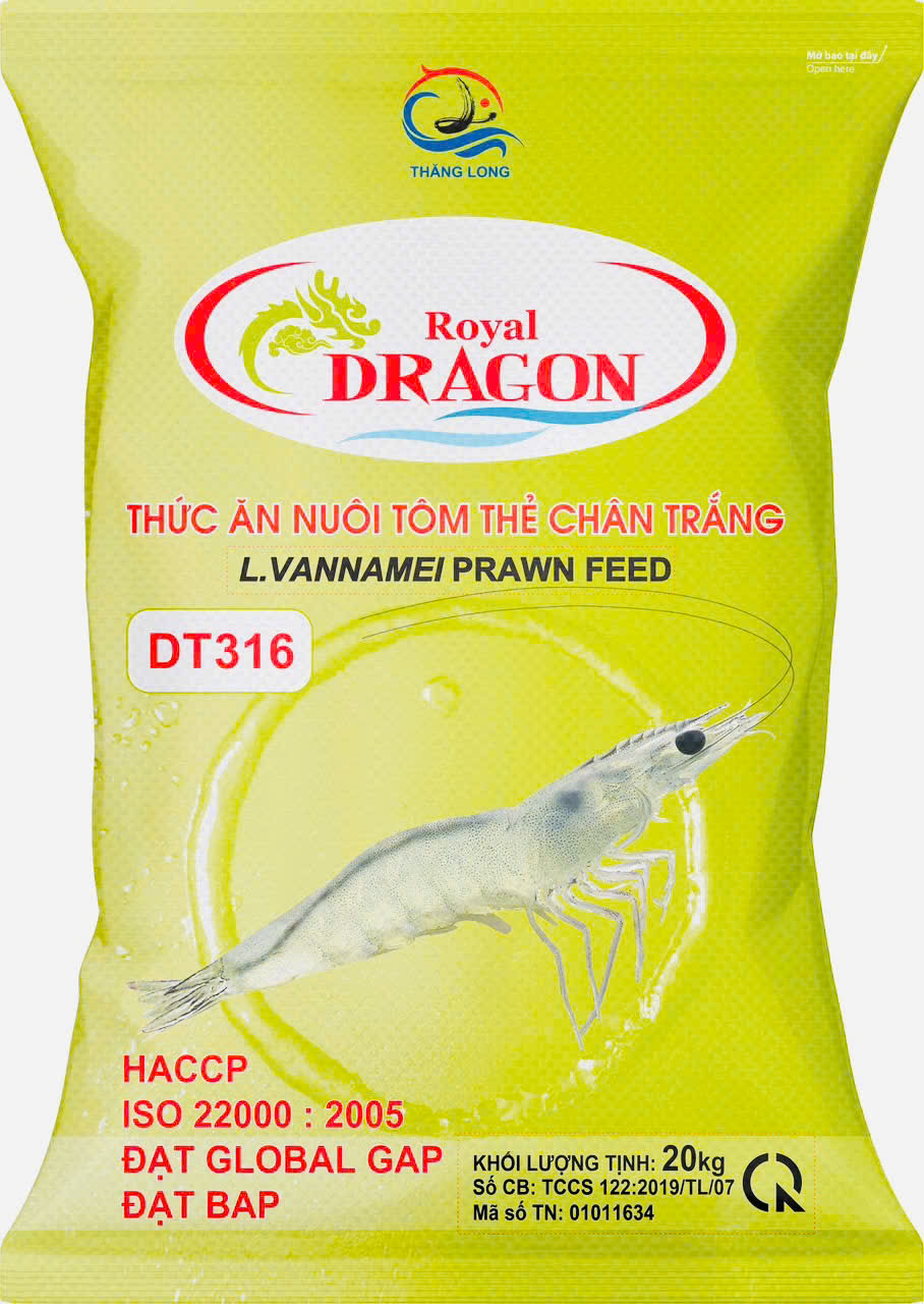 DRAGON DT316 - BAO 20KG