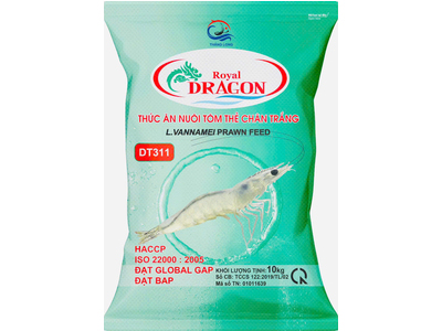 DRAGON DT311 - BAO 10KG