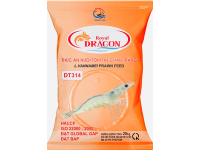 DRAGON DT314 - BAO 20KG