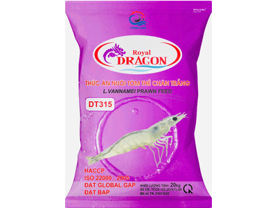 DRAGON DT315 - BAO 20KG