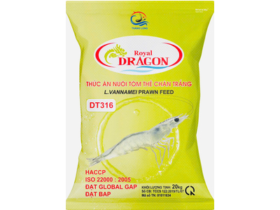 DRAGON DT316 - BAO 20KG