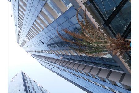 Dự án phục hồi kính trầy xước tại tòa p2 khu Vinhome Center Tân Cảng