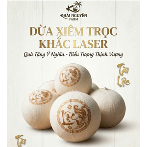 Dừa gọt trọc khắc laser theo yêu cầu