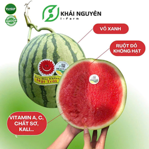 Dưa hấu không hạt Vietgap