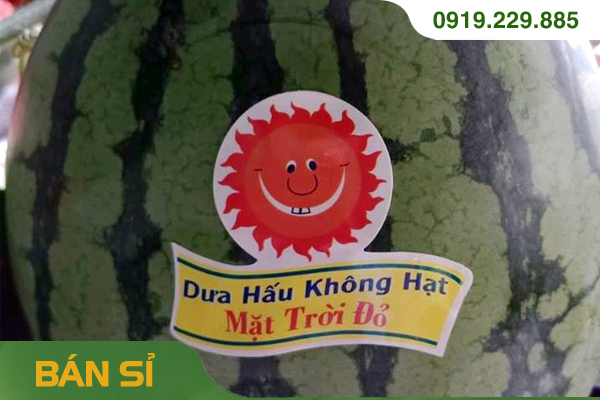 DƯA HẤU KHÔNG HẠT MẶT TRỜI ĐỎ (thùng 40kg)