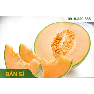 DƯA LƯỚI RUỘT CAM (thùng 30kg-50kg)
