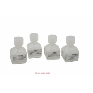 Dung dịch Điện Giải Oxylyte
