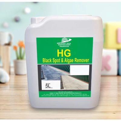 Dung dịch vệ sinh và làm sạch HG Black Spot & Algae Remover 5L