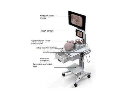 Mô hình đào tạo tích hợp cho phẫu thuật nội soi phế quản
