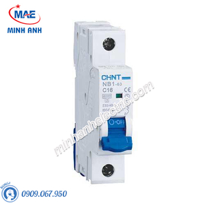 Cầu dao tự động MCB Chint eB 4,5kA - Model eB 1P (6A-40A)