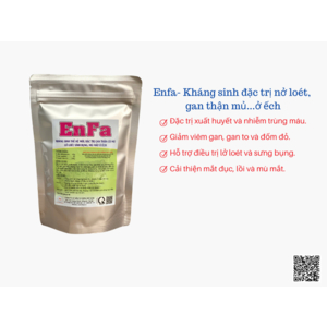 ENFA - THUỐC ĐẶC TRỊ VIÊM GAN THẬN CÓ MỦ LỞ LOÉT, VIÊM Ổ BỤNG, MÙ MẮT TRÊN ẾCH