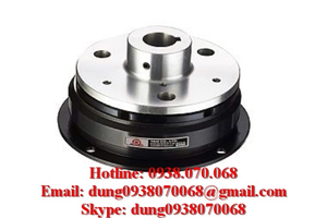 YAN CLUTCH EFC-2-006,EFC-2-015,EFC-2-025,EFC-2-050,EFC-2-100,EFC-2-200,EFC-2-400