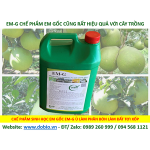 EM-G CAN 5L CHẾ PHẨM SINH HOC EM GỐC VI SINH TỐT HIỆU QUẢ CAO