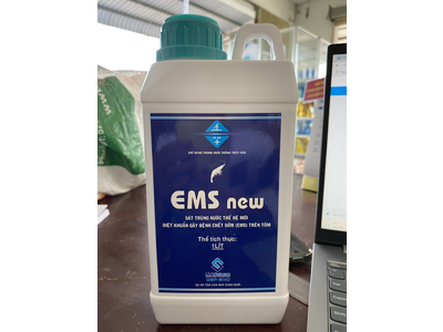 EMS NEW