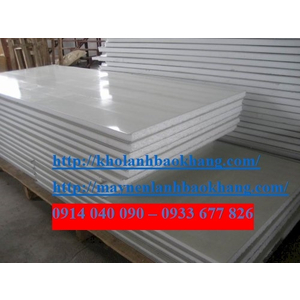 Panel tấm cách nhiệt EPS
