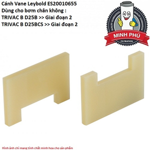 CÁNH GẠT BƠM LEYBOLD ES20010655