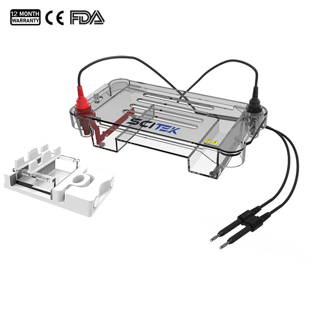 Bể điện di gel nằm ngang - ET-H01A; ET-H02A; ET-H03A