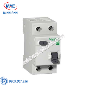 Thiết bị đóng cắt Schneider - Model EZ9D34610-RCBO