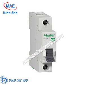 Thiết bị đóng cắt Schneider - Model EZ9F34125-MCB