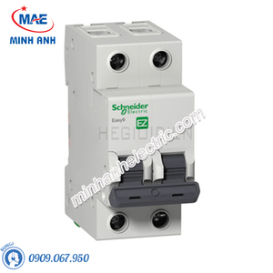 Thiết bị đóng cắt Schneider - Model EZ9F34232-MCB