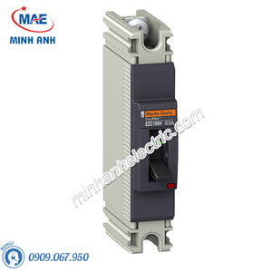 Thiết bị đóng cắt Schneider - Model EZC100H1080-MCCB