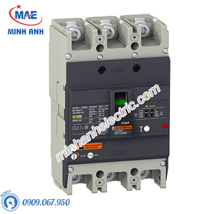 Thiết bị đóng cắt Schneider - Model EZCV250H3100-ELCB