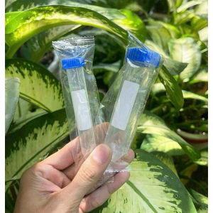 Ống Falcon PT, 50ml, tiệt trùng, ly tâm mẫu xét nghiệm