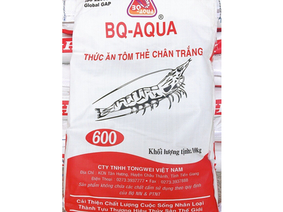 BQ -600