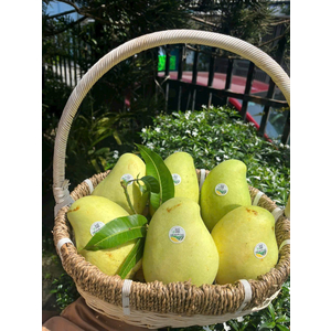 XOÀI TỨ QUÝ HỮU CƠ VIETGAP