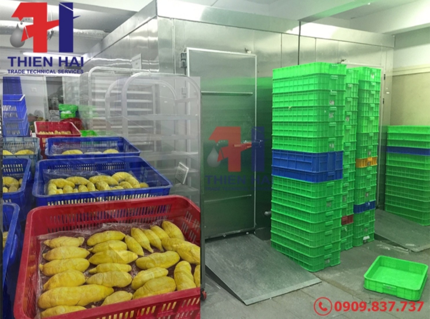 KHO LẠNH BẢO QUẢN SẦU RIÊNG TẠI ĐĂK LĂK