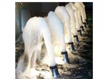 Vòi phun sủi bọt Foam Ø 34