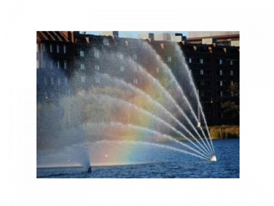 Vòi phun hình bàn tay Ø 49