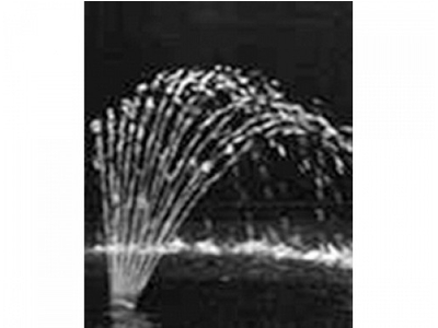 Vòi phun hình bàn tay Ø 49