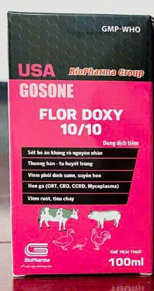 FLORDOXY10/10