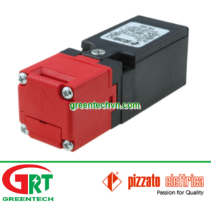 FR 993-D1 | Pizzato FR 993-D1 | Công tắc an toàn FR 993-D1 | Safety switch FR 993-D1 Pizzato Vietnam