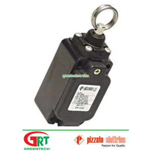FR502 | Pizzato FR502 | FR 502 | Cảm biến hành trình FR502 | Pizzato Việt Nam | Đại lý Pizzato