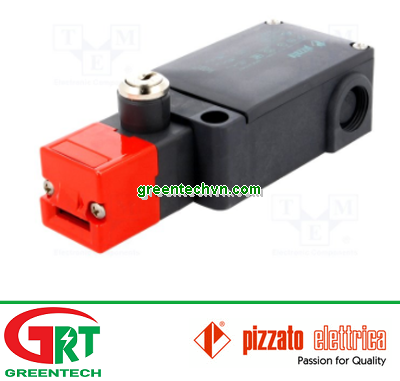 FS-2898D120 | Pizzato | Safety switch FS-2898D120 | Pizzato Vietnam