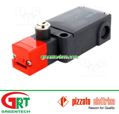 FS-3098D024 | Pizzato | Công tắc an toàn FS-3098D024 | Pizzato Vietnam
