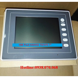 FUJI HAKKO TS1070i, TS1070