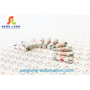 CẦU CHÌ BUSSMANN FWP-10A14Fa