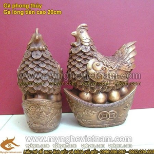 Gà đẻ trứng vàng, kim tiền vàng, gà đồng phong thủy