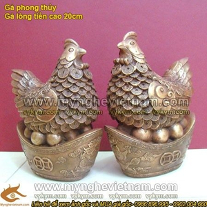 Gà đẻ trứng vàng, kim tiền vàng, gà đồng phong thủy