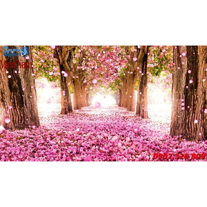 Gạch 3d Hoa Anh Đào HAD02