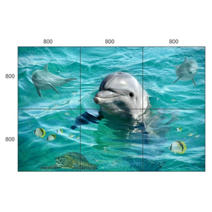 Gạch 3d lát nền NCS02