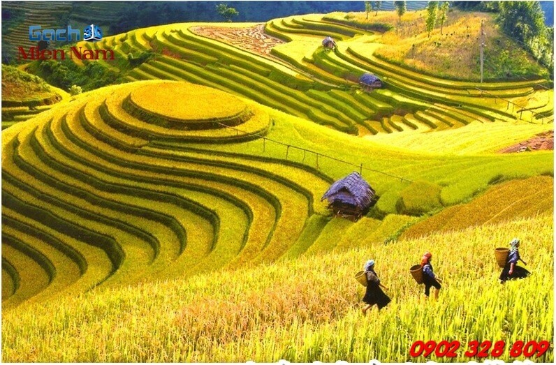 gạch 3d ốp tường gạch 3d ốp tường