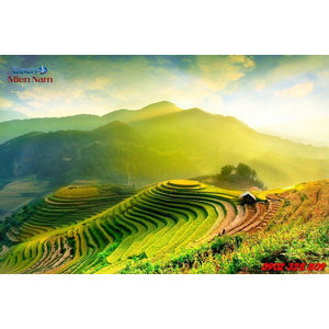 Gạch 3d Ruộng Bậc Thang RBT10