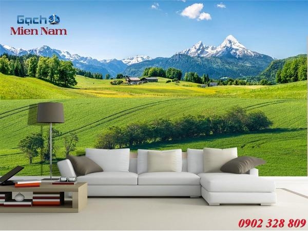 Vì sao nên chọn tranh gạch 5D để trang trí nhà cửa thay các loại gạch trang trí khác tại quận Bình Thạnh