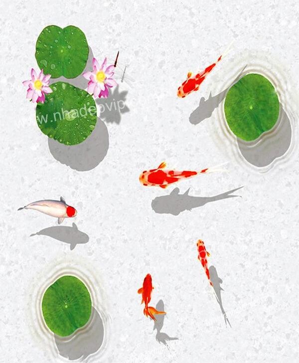 Gạch tranh 3d lát sàn cá koi