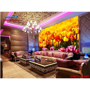 Gạch tranh 3d ốp tường Phòng ngủ HTM80